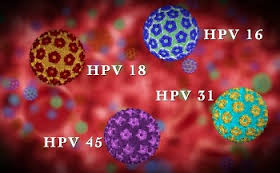 hpv virusi