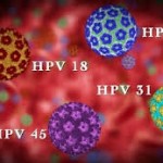 images hpv